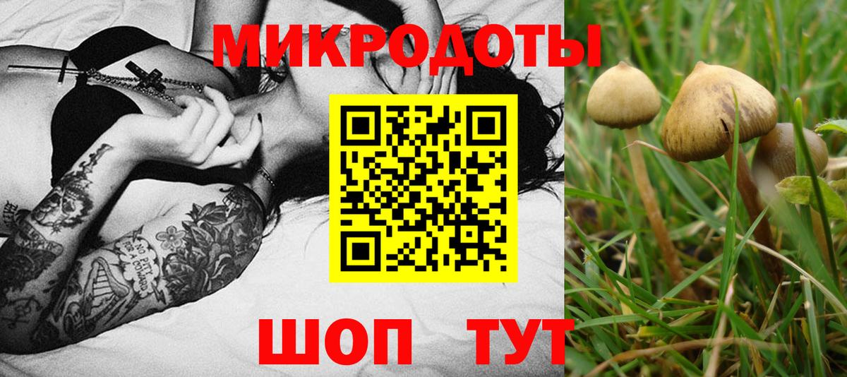 Галлюциногенные грибы мицелий Клин