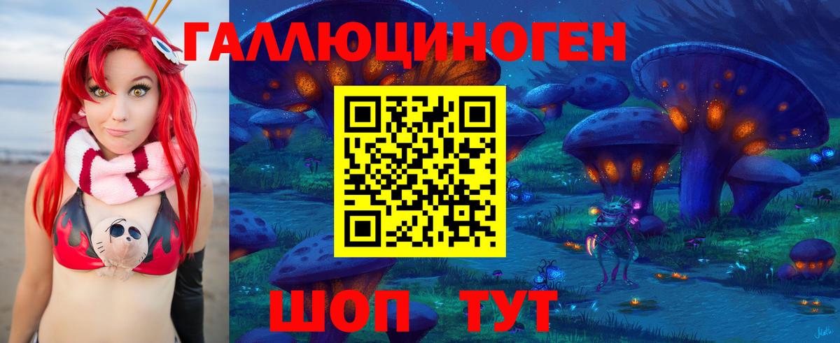 где найти   Вход с VPN  Клин  Псилоцибиновые грибы мухоморы 